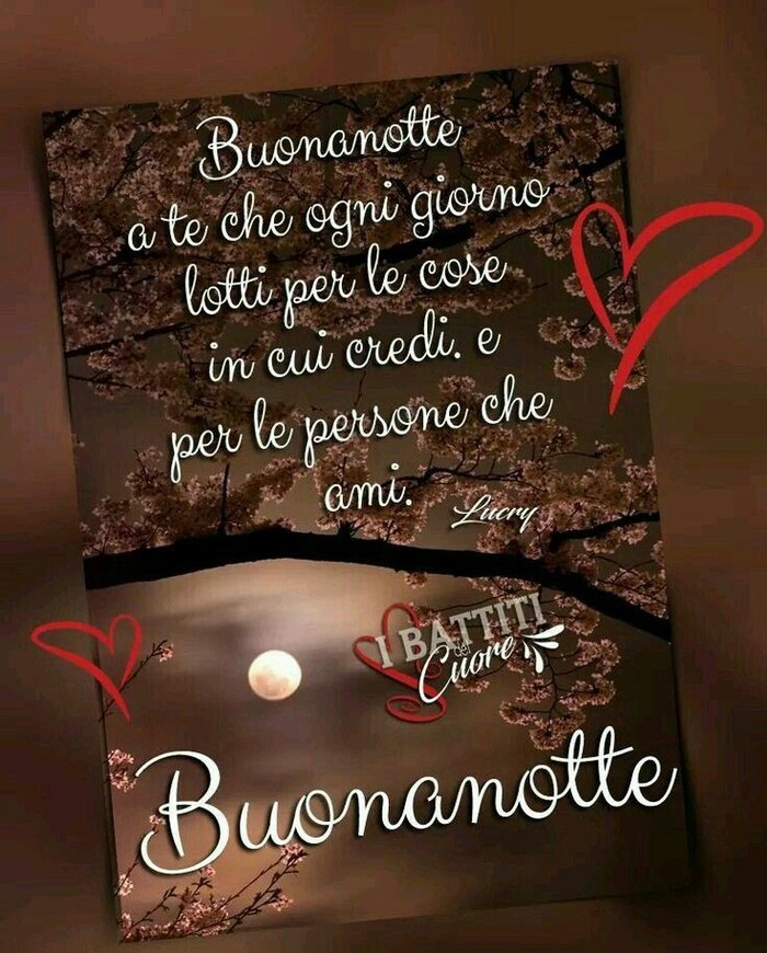 "Buonanotte a Te, che ogni giorno lotti per le cose in cui credi e per le persone che ami."