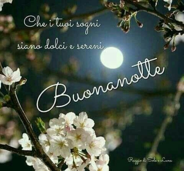 "Che i tuoi sogni siano dolci e sereni, Buona Notte"