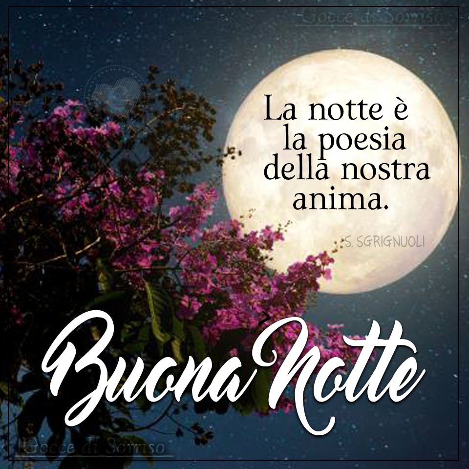 "La notte è la poesia della nostra anima. Buona Notte"