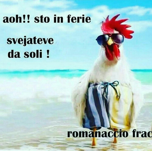 "Aoh! Sto in ferie... Svejateve da soli!" - immagini divertenti