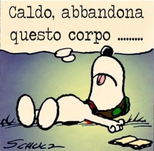 "Caldo, abbandona questo corpo..." (Snoopy)