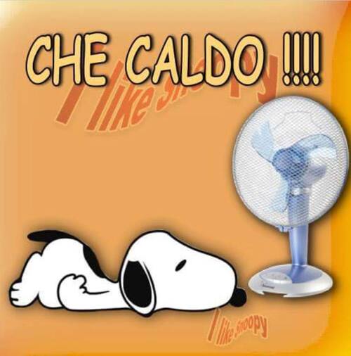 "CHE CALDO !!!" - I Like Snoopy