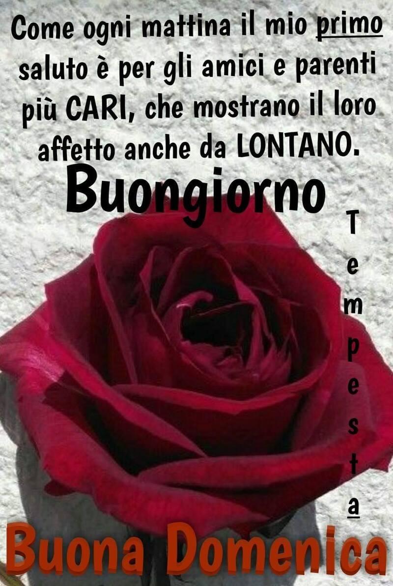 "Come ogni mattina il mio primo saluto è per gli amici e parenti più cari, che mostrano il loro affetto anche da lontano. Buona Domenica"