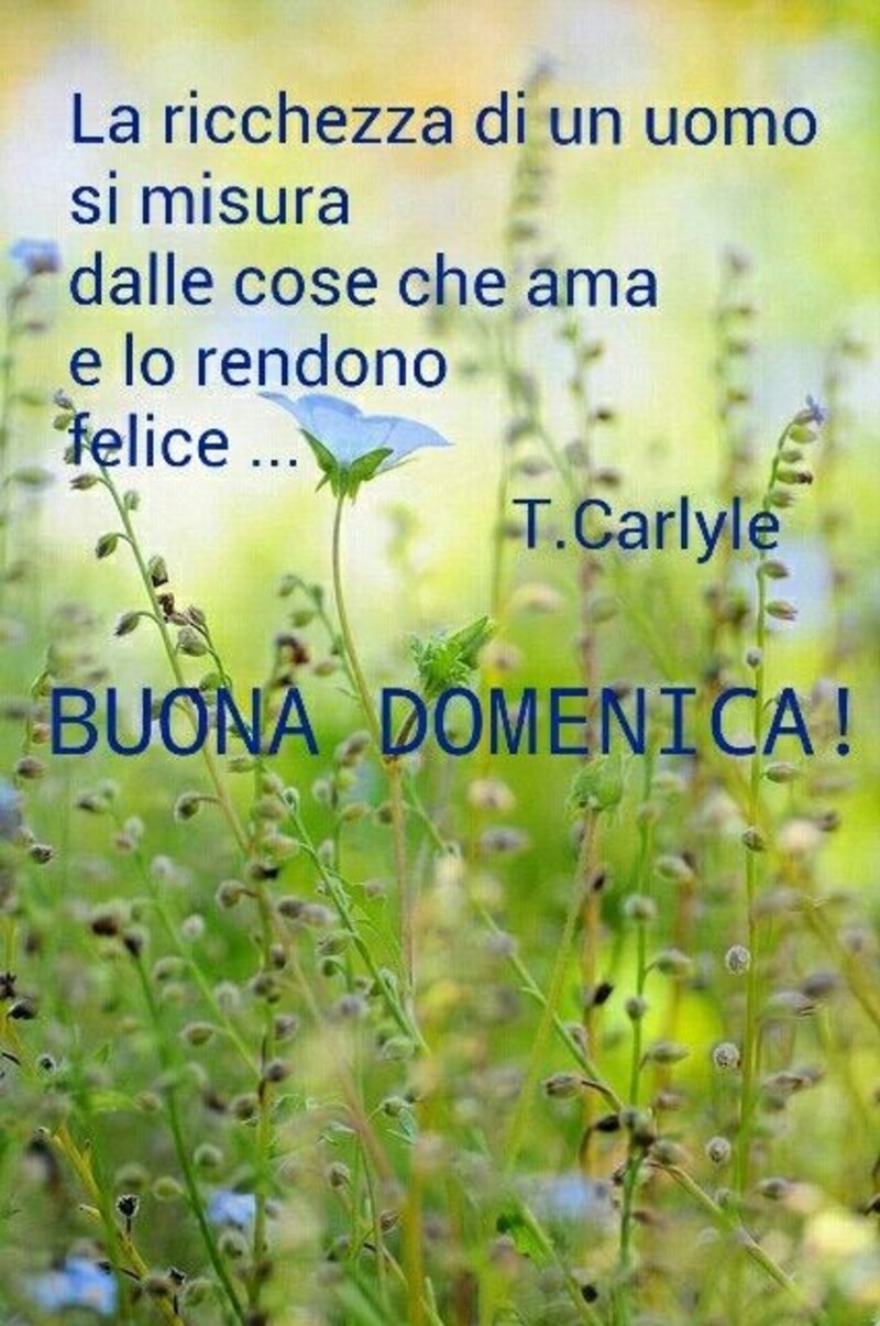 Frasi di Buona Domenica - "La ricchezza di un uomo si misura dalle cose che ama e che lo rendono felice..."