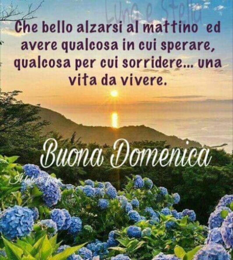 Frasi di Buona Domenica - "Che bello alzarsi il mattino e avere qualcosa in cui sperare, qualcosa per cui sorridere... una vita da vivere."