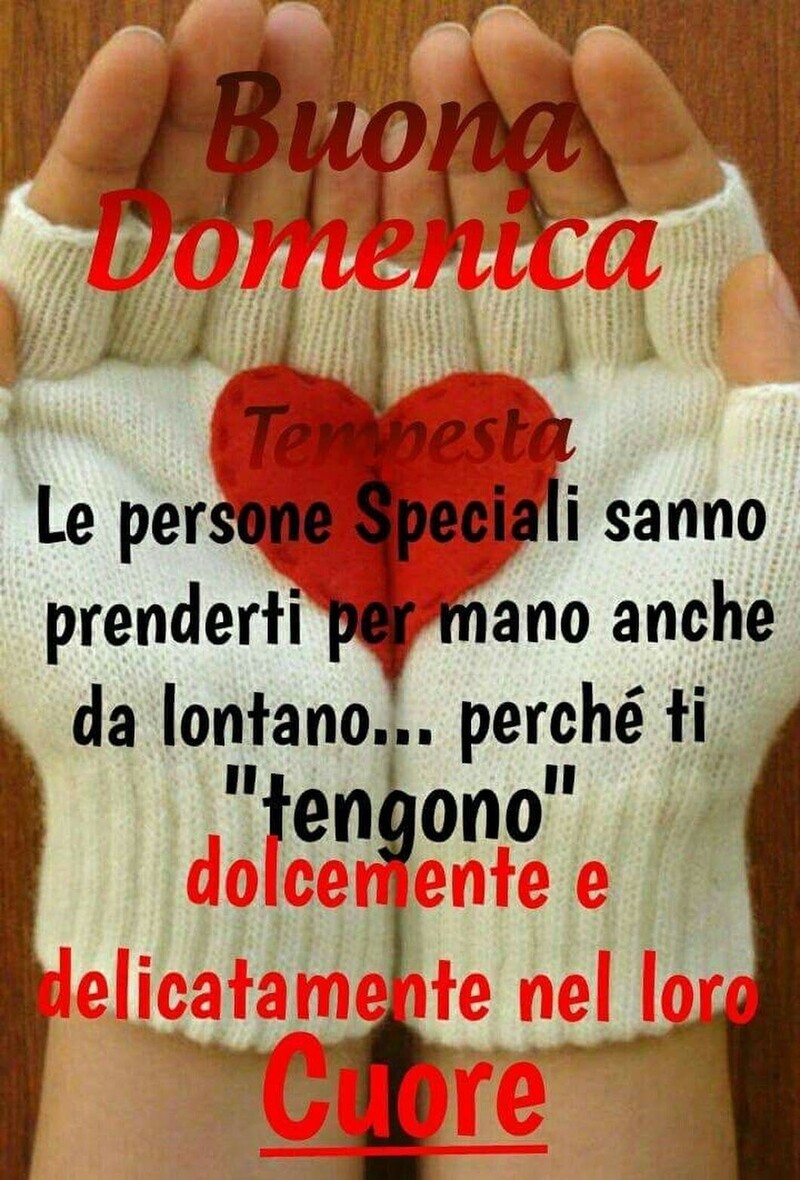 "Le Persone Speciali sanno prenderti per mano anche da lontano... perchè ti tengono dolcemente e delicatamente nel loro Cuore. Buona Domenica"