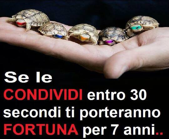 "Se le CONDIVIDI entro 30 secondi ti porteranno FORTUNA per 7 anni"