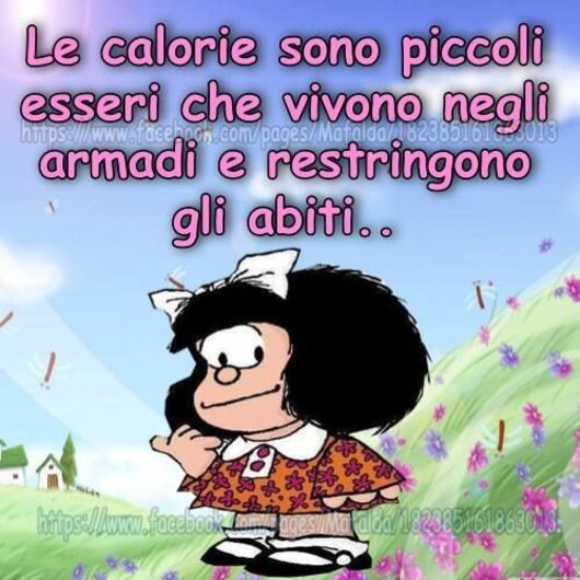 "Le calorie sono piccoli esseri, che vivono negli armadi e restringono i vestiti..."