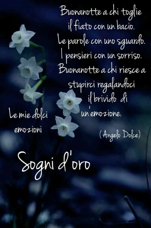 "Buonanotte a chi toglie il fiato con un bacio. Le parole con uno sguardo. I pensieri con un sorriso. Buona Notte a chi riesce a stupirci regalandoci il brivido dell'emozione!"