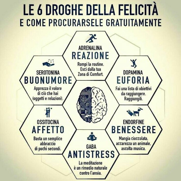 "I sei obbiettivi della Felicità e come ottenerli: Reazione, Buonumore, Affetto, Antistress, Benessere, Euforia..."