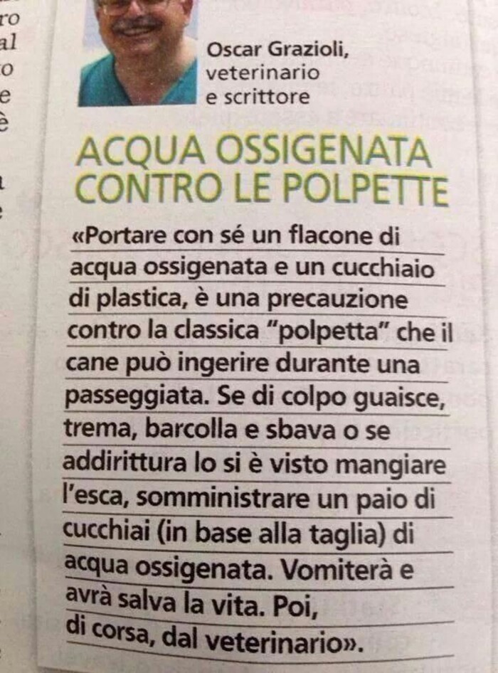 Trucchi per la vita quotidiana - "Come salvare un cane dalle polpette avvelenate....."