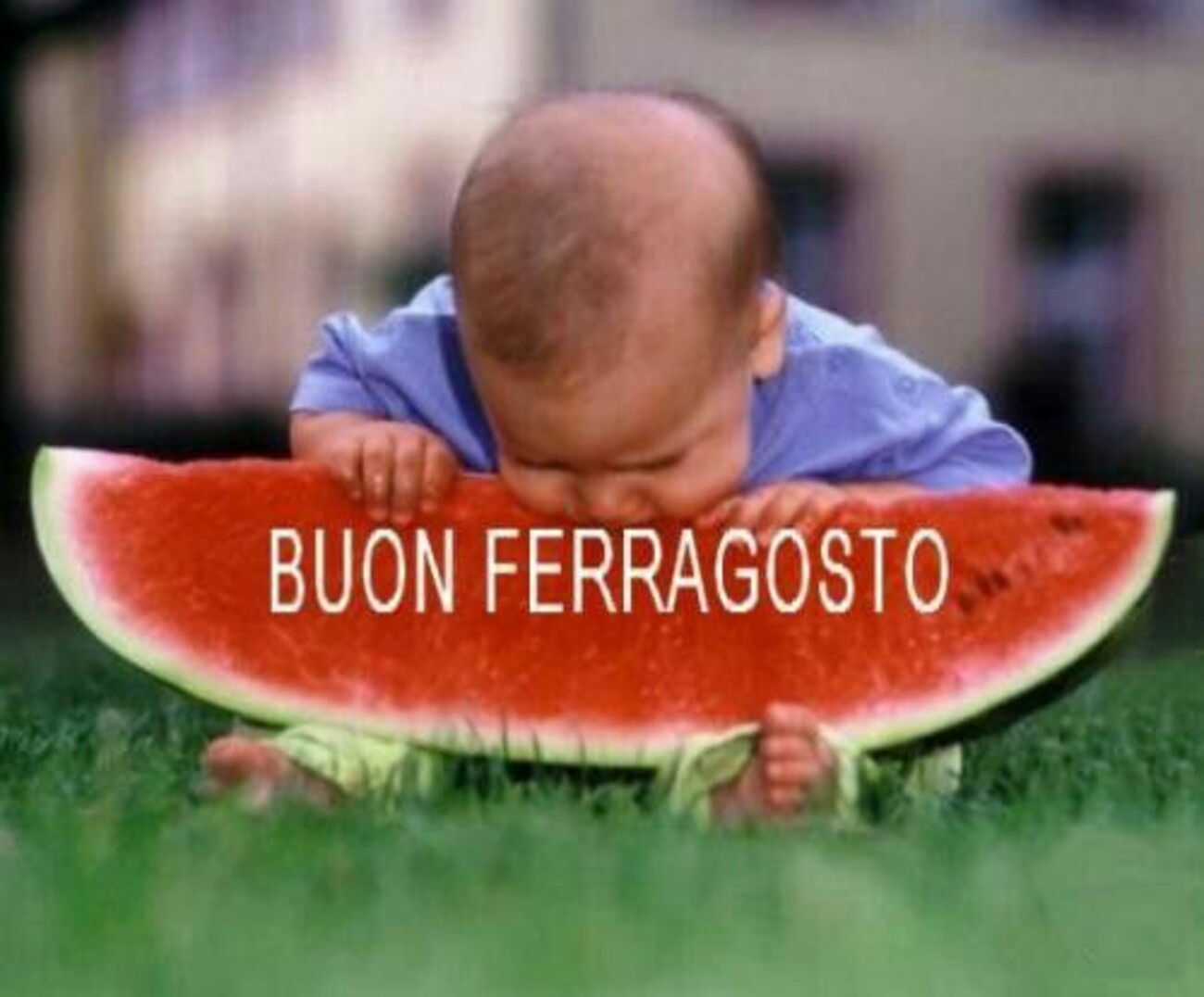 Immagini divertenti per augurare Buon Ferragosto