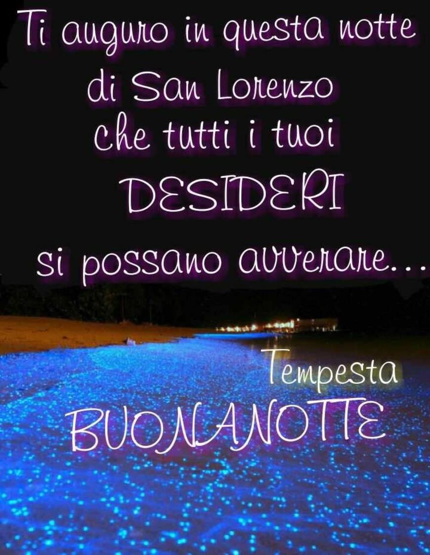 "Ti auguro in questa Notte di San Lorenzo che tutti i tuoi DESIDERI si possano avverare... BUONANOTTE"