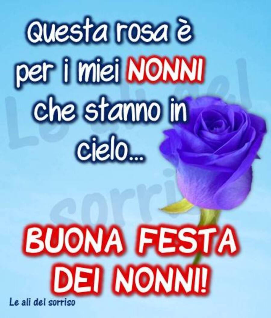 "Questa rosa è per i miei Nonni che stanno in cielo... BUONA FESTA DEI NONNI !"