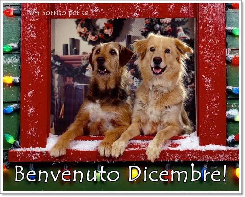 Buon Giorno è arrivato dicembre