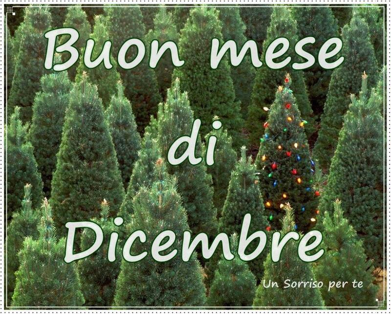 "Buon Mese di Dicembre" - Un sorriso per te