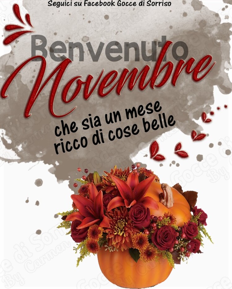 "Buon mese di Novembre, che sia ricco di cose belle..."