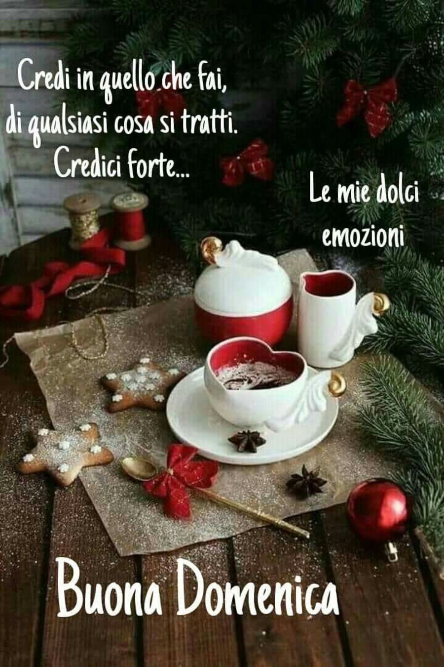 "Credi in quello che fai, di qualsiasi cosa si tratti... credici forte!" - frasi di Buona Domenica natalizia