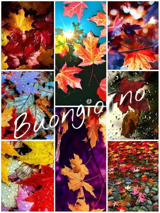 Buongiorno con i colori dell'Autunno