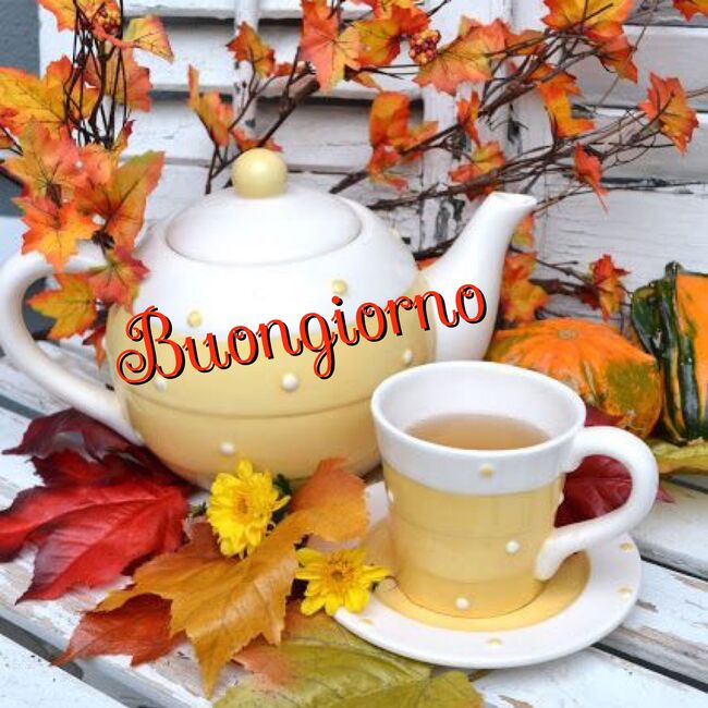 "Buongiorno" - immagini con i colori autunnali