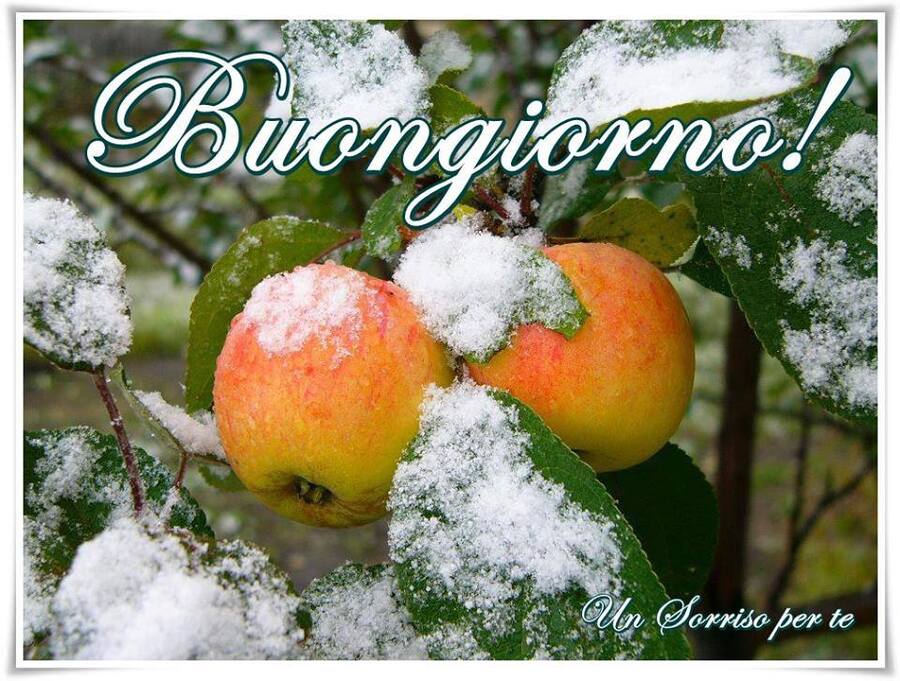 Buongiorno Invernale 10 Link Da Condividere Gratis Top10immagini It