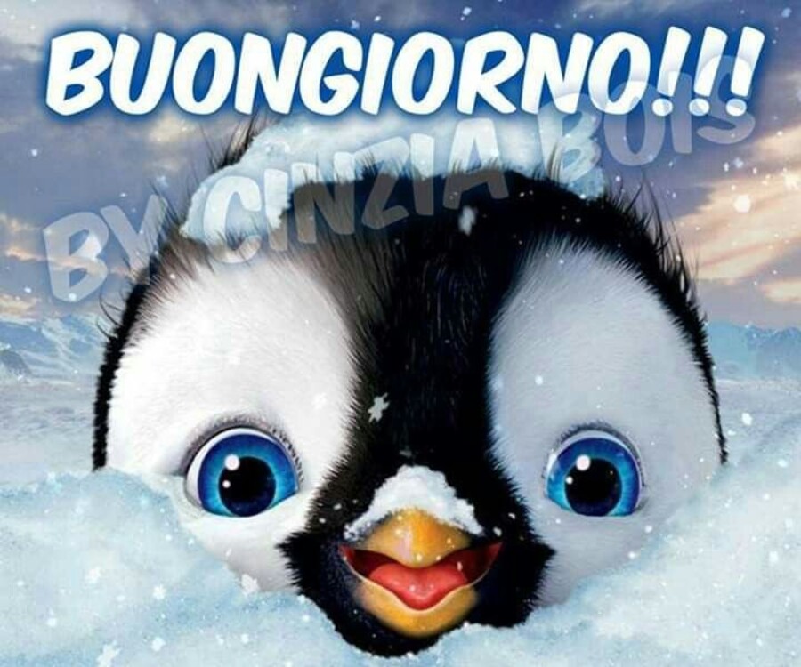 "BUONGIORNO!!!"