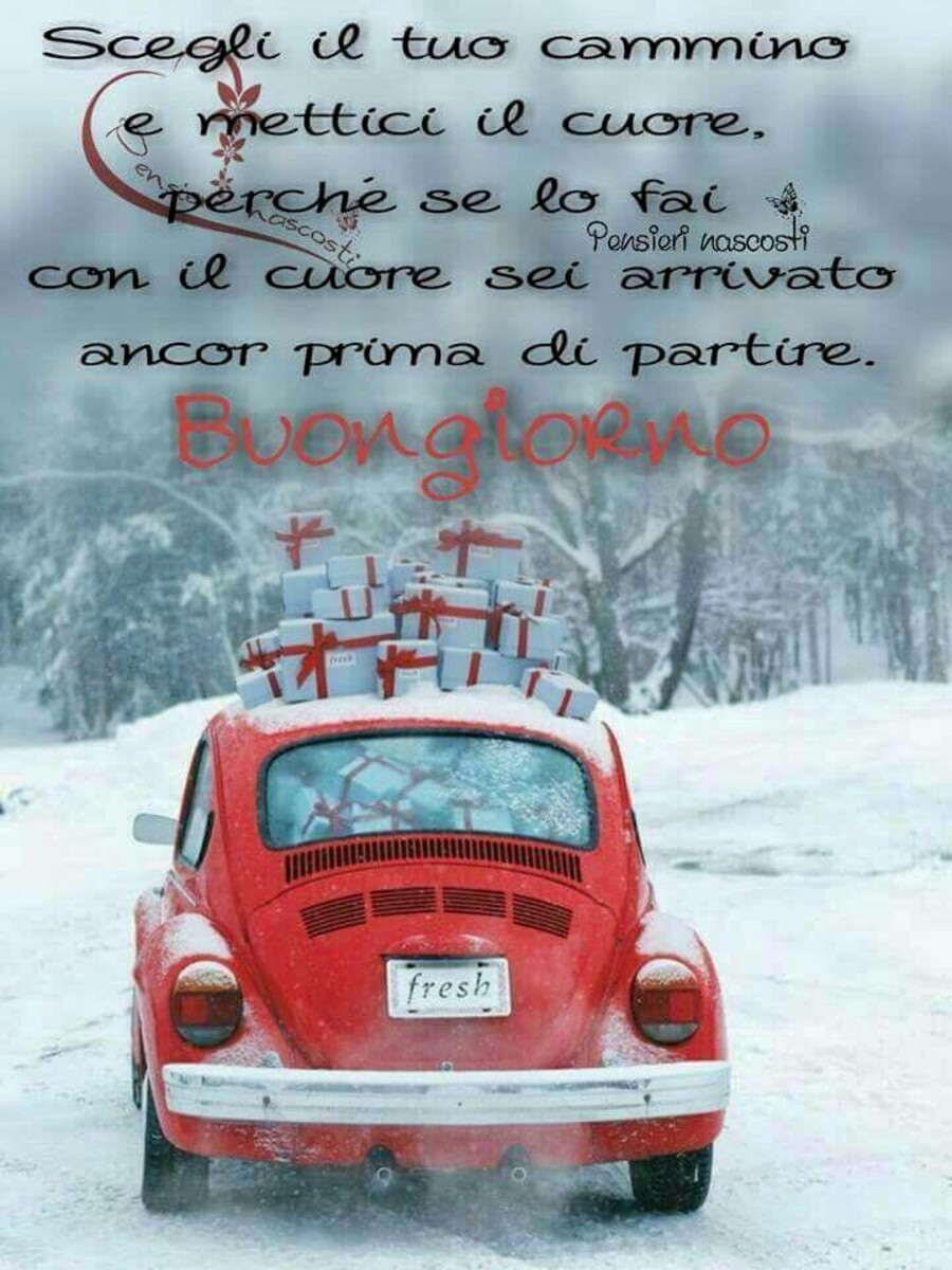 "Scegli il tuo cammino e mettici il Cuore, perchè se lo fai con il Cuore, sei arrivato ancor prima di partire! Buongiorno"