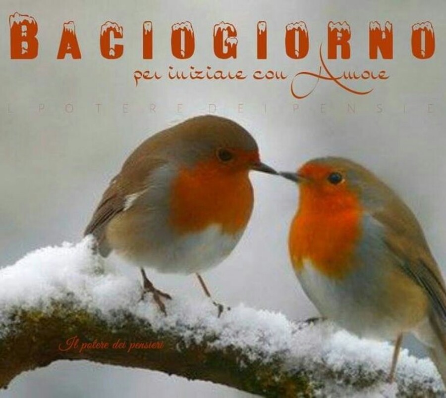 Buongiorno d'inverno