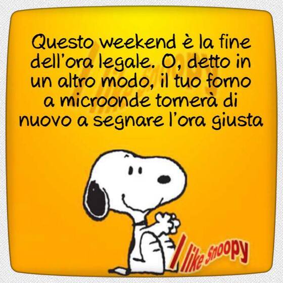 Ora Solare battute divertenti - "Questo week-end sarà la fine dell'ora legale. O, meglio, il tuo forno a microonde tornerà di nuovo a segnare l'ora esatta!"