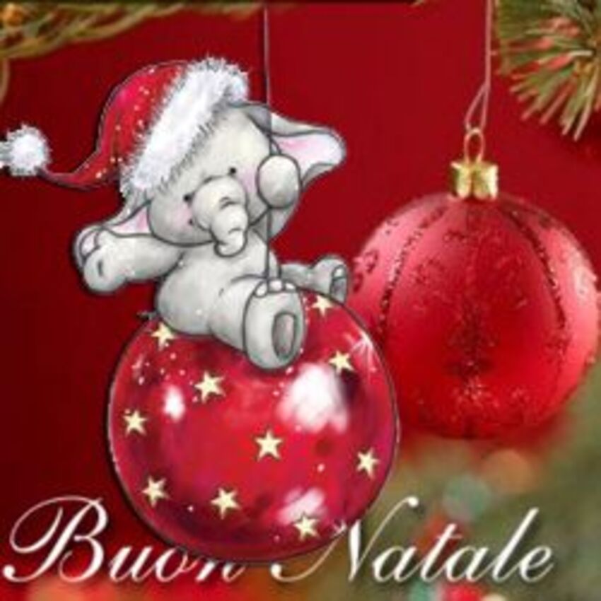 Bellissime immagini - "Buon Natale"