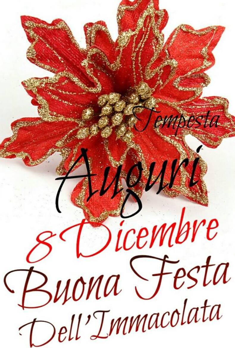 "Auguri 8 Dicembre, Buona Festa dell'Immacolata"