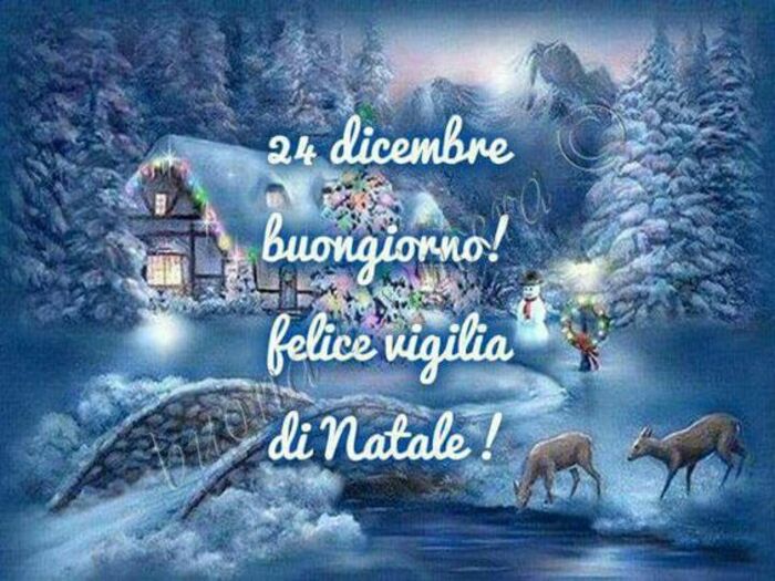 "24 Dicembre Buongiorno, Felice Vigilia di Natale!"