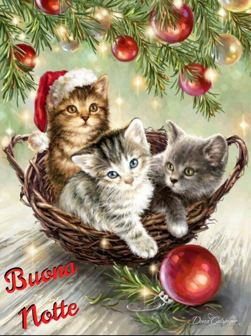 Buona Notte con i gattini vestiti da Natale