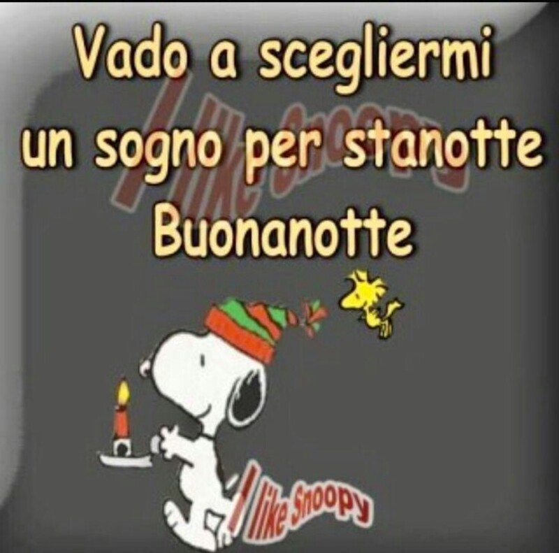 "Vado a scegliermi un sogno per stanotte..." - Buonanotte natalizio con Snoopy