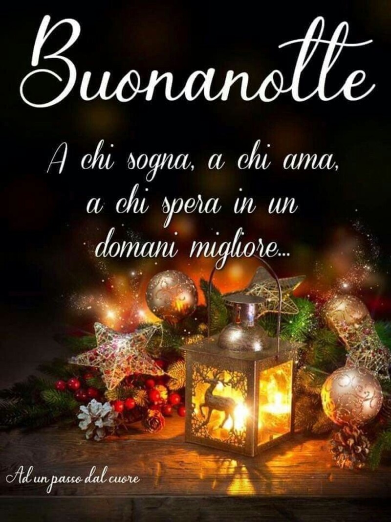 "A chi sogna, a chi ama, spera in un domani migliore... Buonanotte"