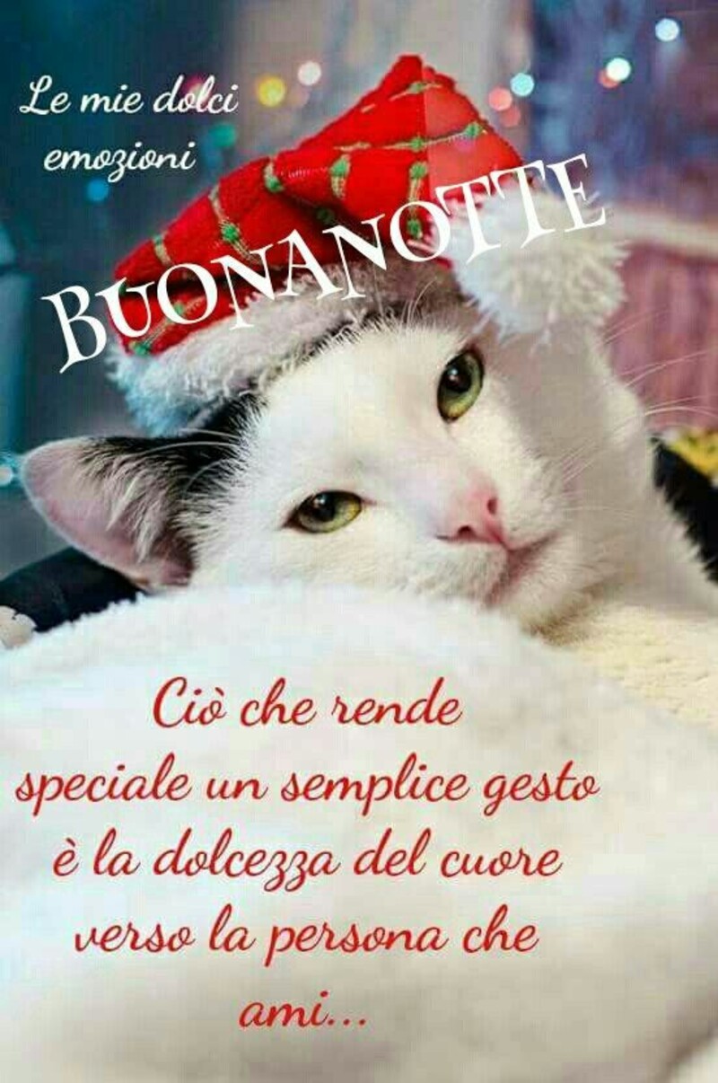 Buonanotte immagini natalizie - "Ciò che rende speciale un semplice gesto è la dolcezza del cuore verso la persona che ami..."