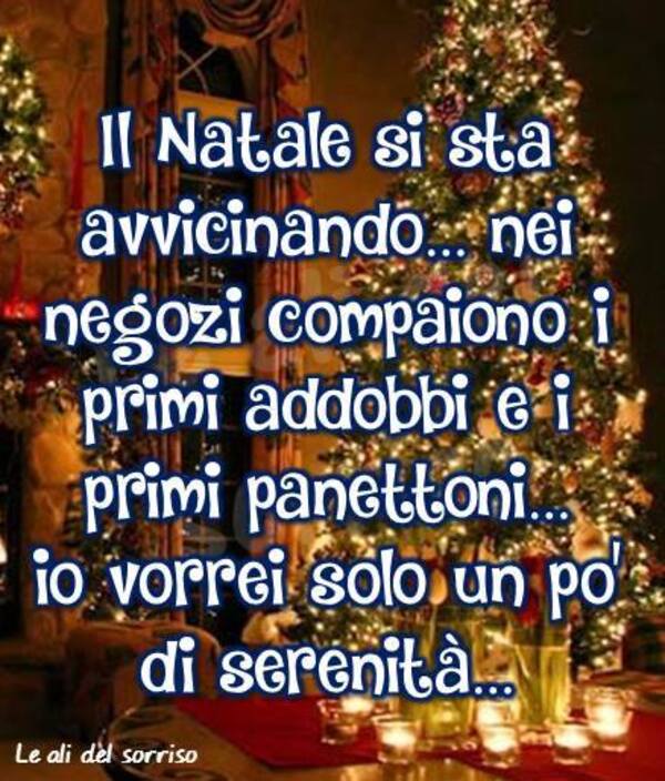 "Il Natale si sta avvicinando... Nei negozi compaiono i primi addobbi e i primi panettoni... Io vorrei solo un pò di serenità..."