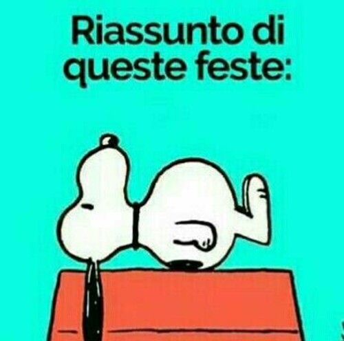 Snoopy e il Natale - "Riassunto di queste feste"