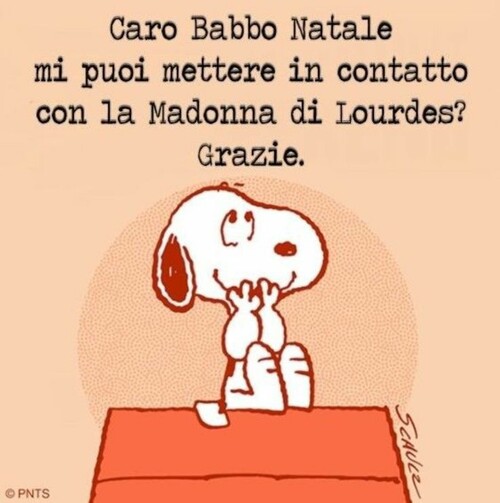 "Caro Babbo Natale, mi puoi mettere in contatto con la Madonna di Lourdes? Grazie."