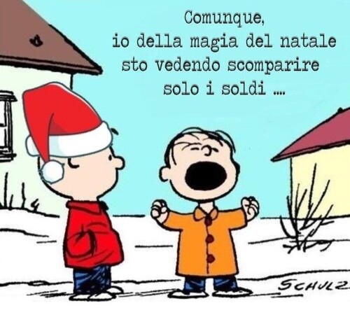 "Comunque io, della magia del Natale, sto vedendo scomparire solo i soldi..."