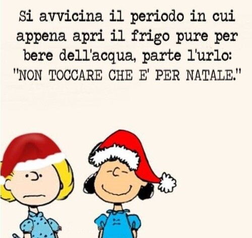 "Si avvicina il periodo in cui appena apri il frigo, pure per bere dell'acqua, parte l'urlo: NON TOCCARE CHE E' PER NATALE!!!"