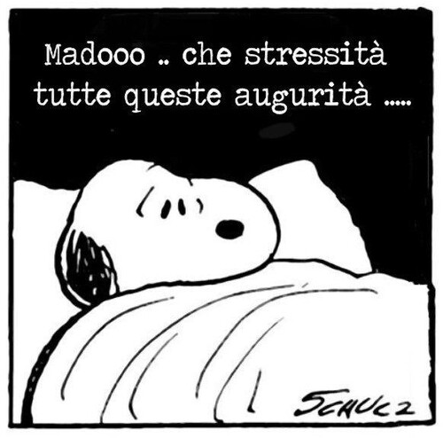 Snoopy e il Natale - "Madòòò che stressità... tutte queste augurità!"