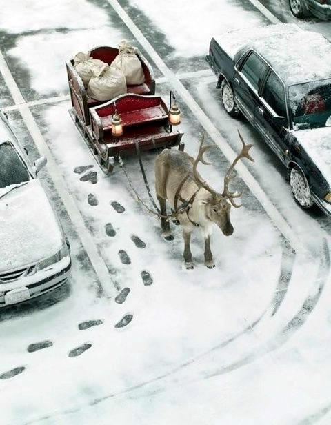 "Parcheggio perfetto per la slitta di Babbo Natale"