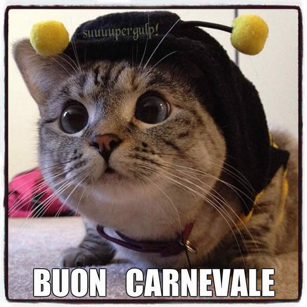 Immagini divertenti per gli auguri di Carnevale