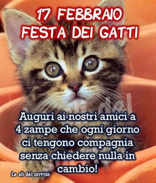 Immagini per la Festa del Gatto - ".....Auguri ai nostri amici a quattro zampe che ogni giorno ci tengono compagnia senza chiedere nulla in cambio!"