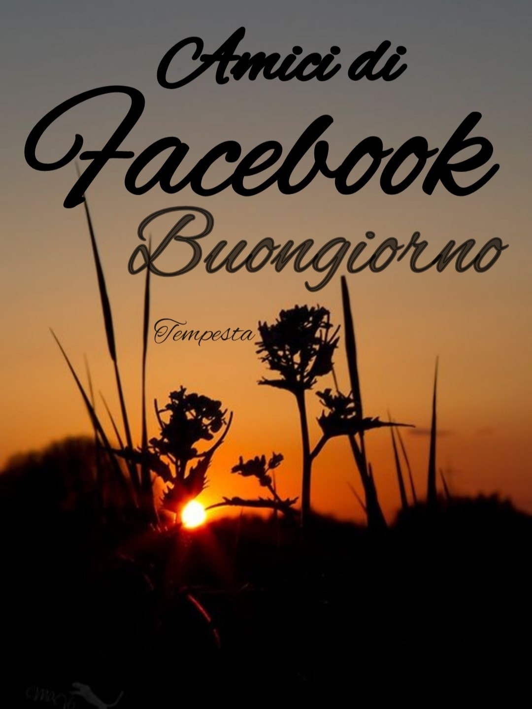 Amici di Facebook Buongiorno (Tempesta)