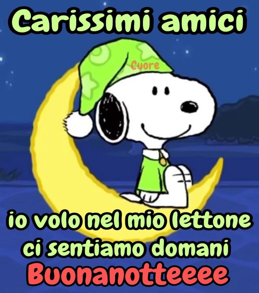 Carissimi amici io volo nel mio lettone ci sentiamo domani Buonanotteeee